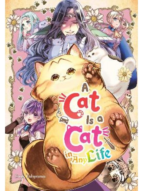 Cat Is a Cat in Any Life, A