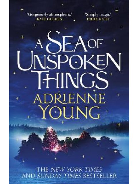 A SEA OF UNSPOKEN THINGS : A SPELLBINDING MYSTERY PERFECT FOR WINTER NIGHTS PB