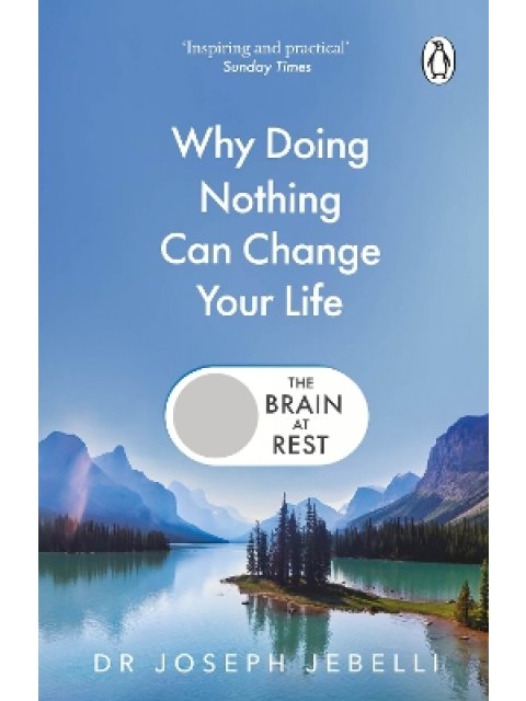 THE BRAIN AT REST : WHY DOING NOTHING CAN CHANGE YOUR LIFE PB