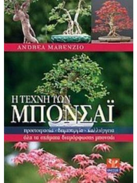 Η ΤΕΧΝΗ ΤΩΝ ΜΠΟΝΣΑΙ