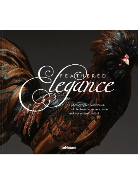 Feathered Elegance : A Photographic Celebration of Chickens