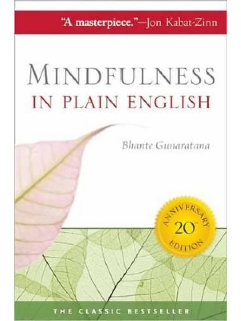 MINDFULNESS IN PLAIN ENGLISH