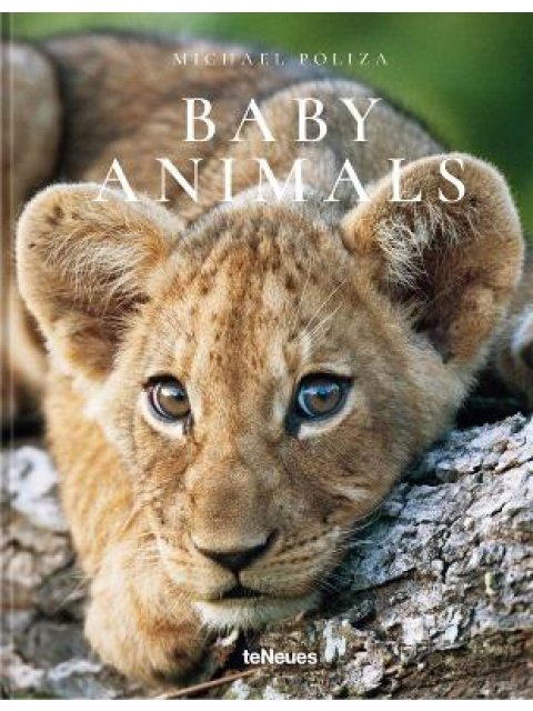Baby Animals