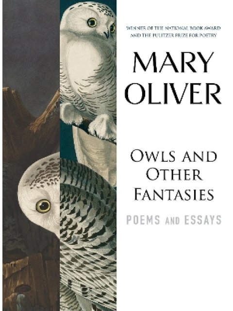 OWLS AND OTHER FANTASIES : POEMS AND ESSAYS