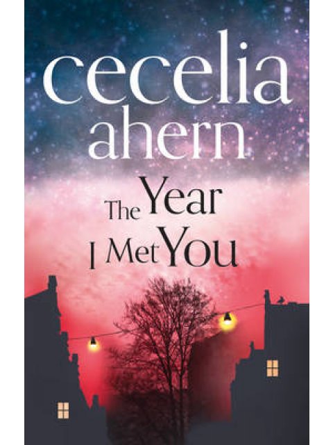 THE YEAR I MET YOU PB C FORMAT