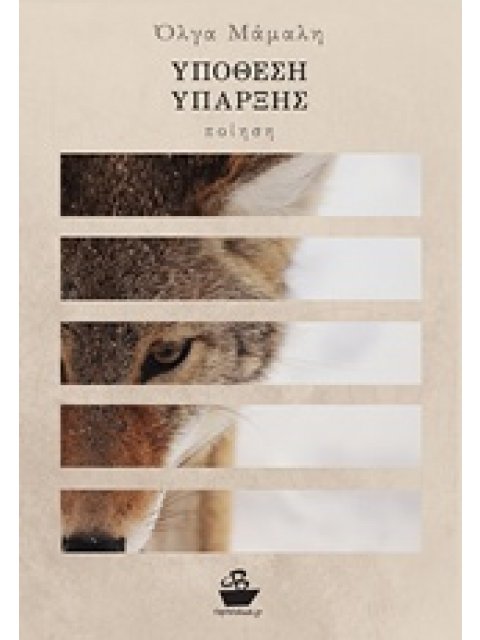 ΥΠΟΘΕΣΗ ΥΠΑΡΞΗΣ ΠΟΙΗΣΗ