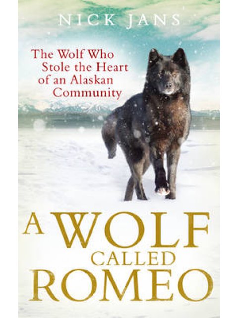 A WOLF CALLED ROMEO  PB