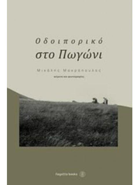 ΟΔΟΙΠΟΡΙΚΟ ΣΤΟ ΠΩΓΩΝΙ