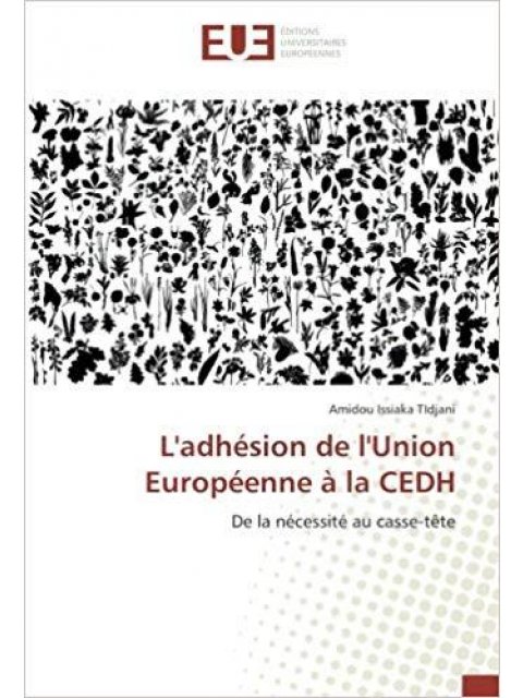 L'ADHESION DE L'UNION EUROPEENNE A LA CEDH - DE LA NECESSITE AU CASSE-TETE