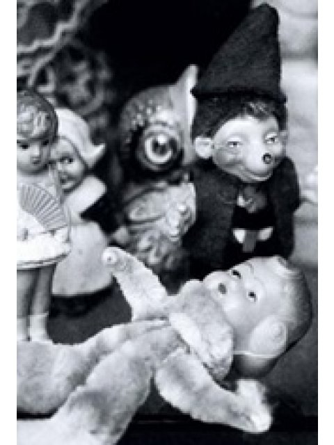 Ο ΑΡΧΟΝΤΑΣ ΤΩΝ ΜΥΓΩΝ