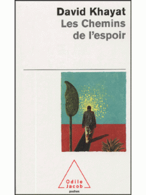 LES CHEMINS DE L'ESPOIR POCHE