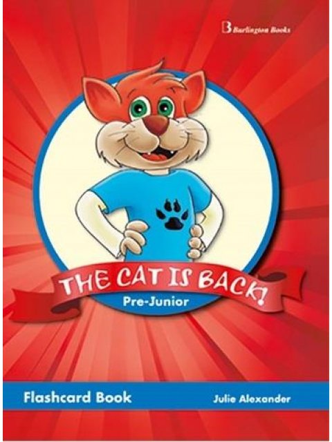 THE CAT IS BACK PRE-JUNIOR FLASHCARDS