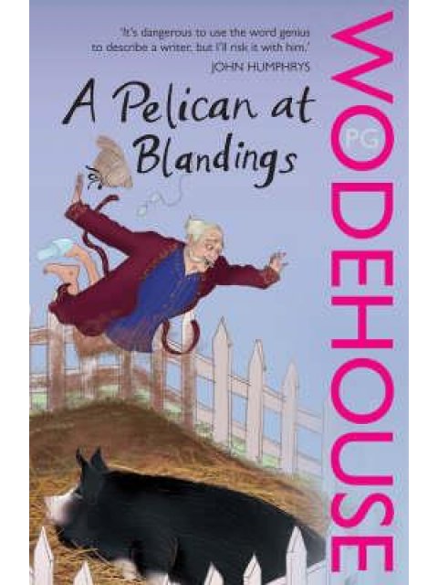A PELICAN AT BLANDINGS PB