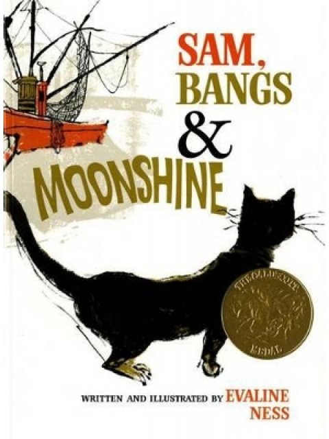 SAM, BANGS & MOONSHINE (OWLET BOOK)