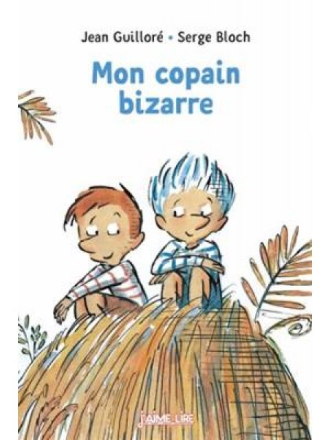 MON COPAIN BIZARRE POCHE