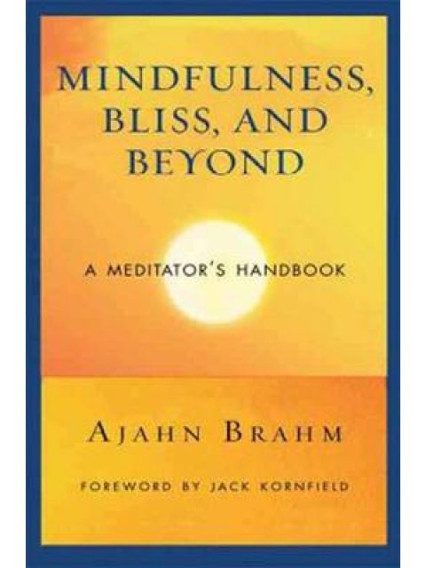 MINDFULNESS BLISS AND BEYOND PB