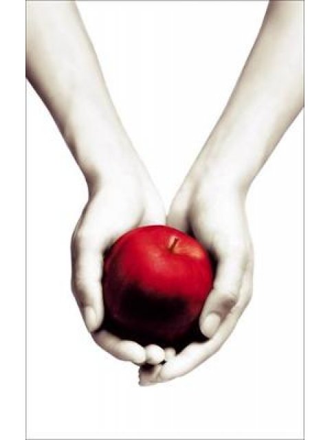 TWILIGHT SAGA 1: TWILIGHT WHITE COVER PB B FORMAT