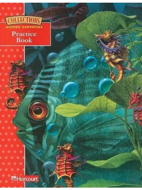 COLLECTIONS HIDDEN SURPRISES GRADE 3.1 PRACTICE BOOK PB
