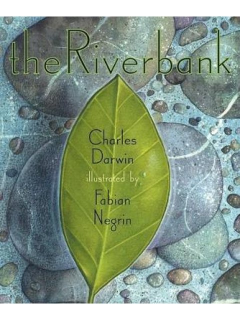 THE RIVERBANK