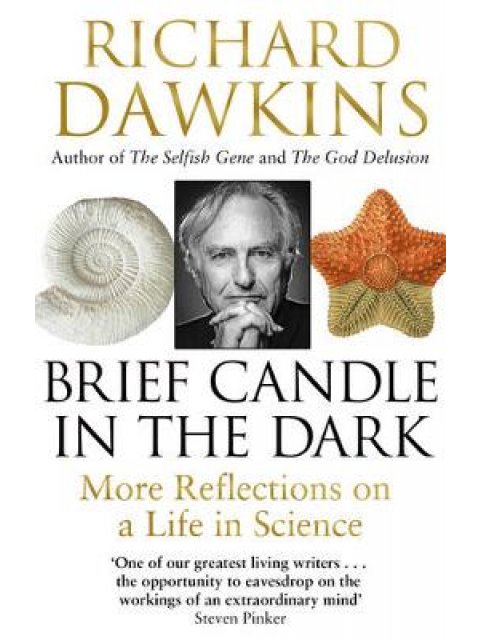 BRIEF CANDLE IN THE DARK PB B