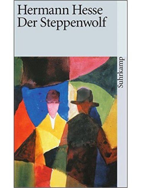 DER STEPPENWOLF  TASCHENBUCH