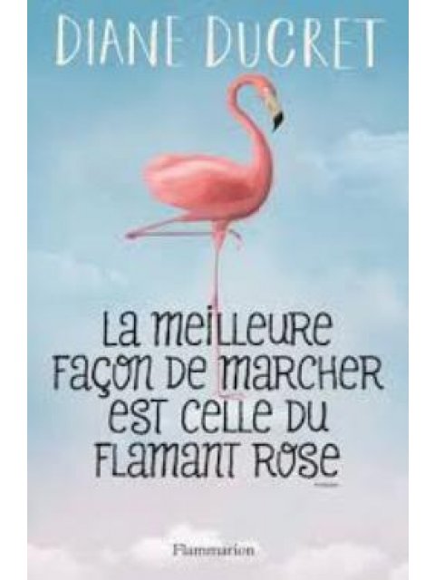 LA MEILLEURE FACON DE MARCHER EST CELLE DU FLAMANT ROSE POCHE