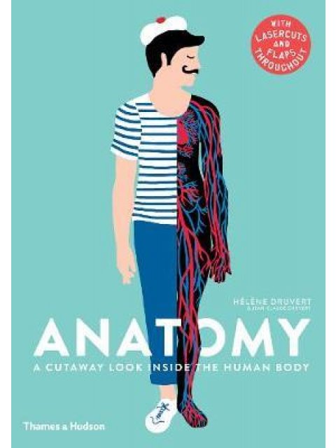 ANATOMY : A CUTAWAY LOOK INSIDE THE HUMAN BODY HC
