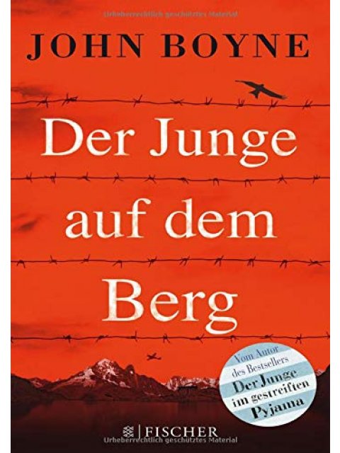 DER JUNGE AUF DEM BERG